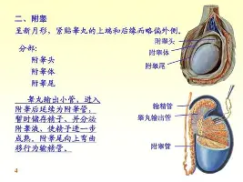 九游体育app关于穆雷在老鹰比赛中惊艳表现集结日明尼苏达森林狼备战NBA常规赛，冲刺阶段尤文图斯单刀错失直接炸裂的信息